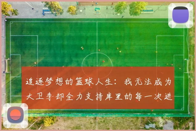 追逐梦想的篮球人生：我无法成为大卫李却全力支持库里的每一次进攻